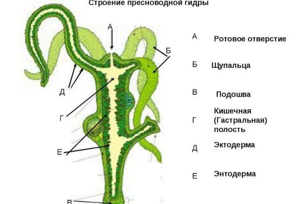 Ссылка омг на тор